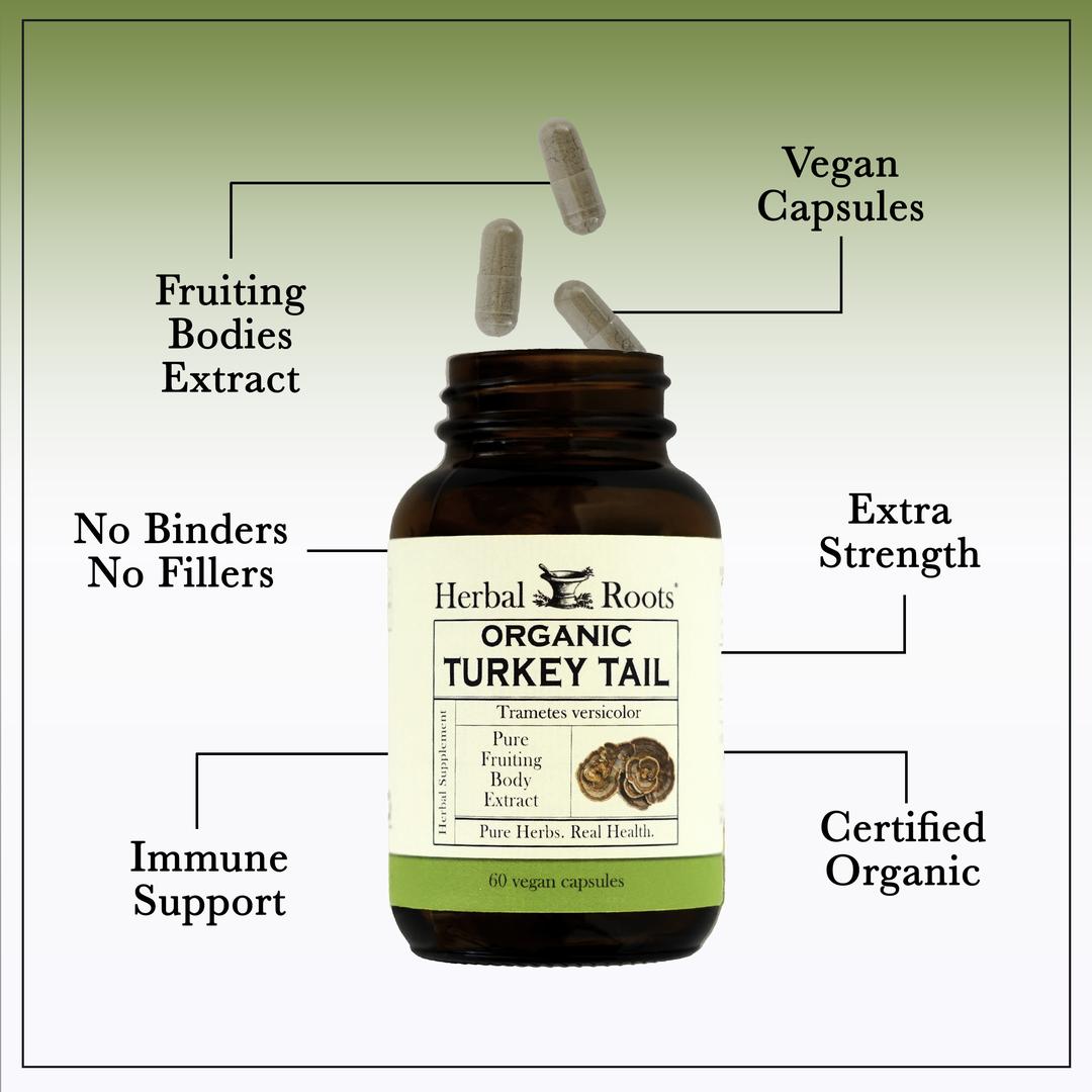 Bottle of Herbal Roots organic turkey tail with capsules coming out of the top. Several benefits listed around the bottle. No binders, No fillers, immune support, certified organic, extra strength, fruiting bodies extract, vegan capsules.
