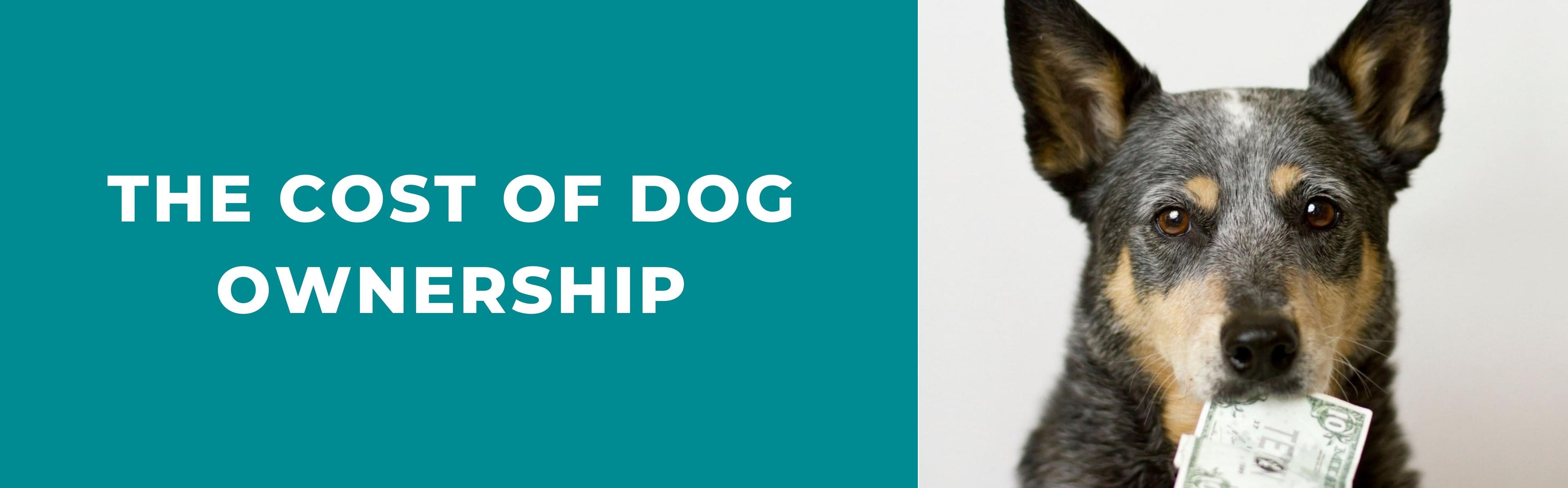 The Cost Of Dog Ownership Potty Buddy™