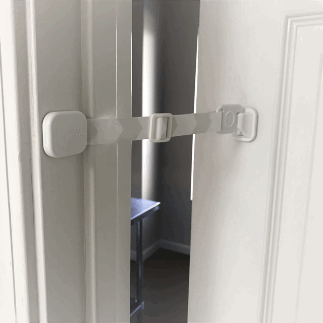dog door latch