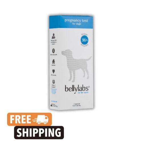 dog breeder supply