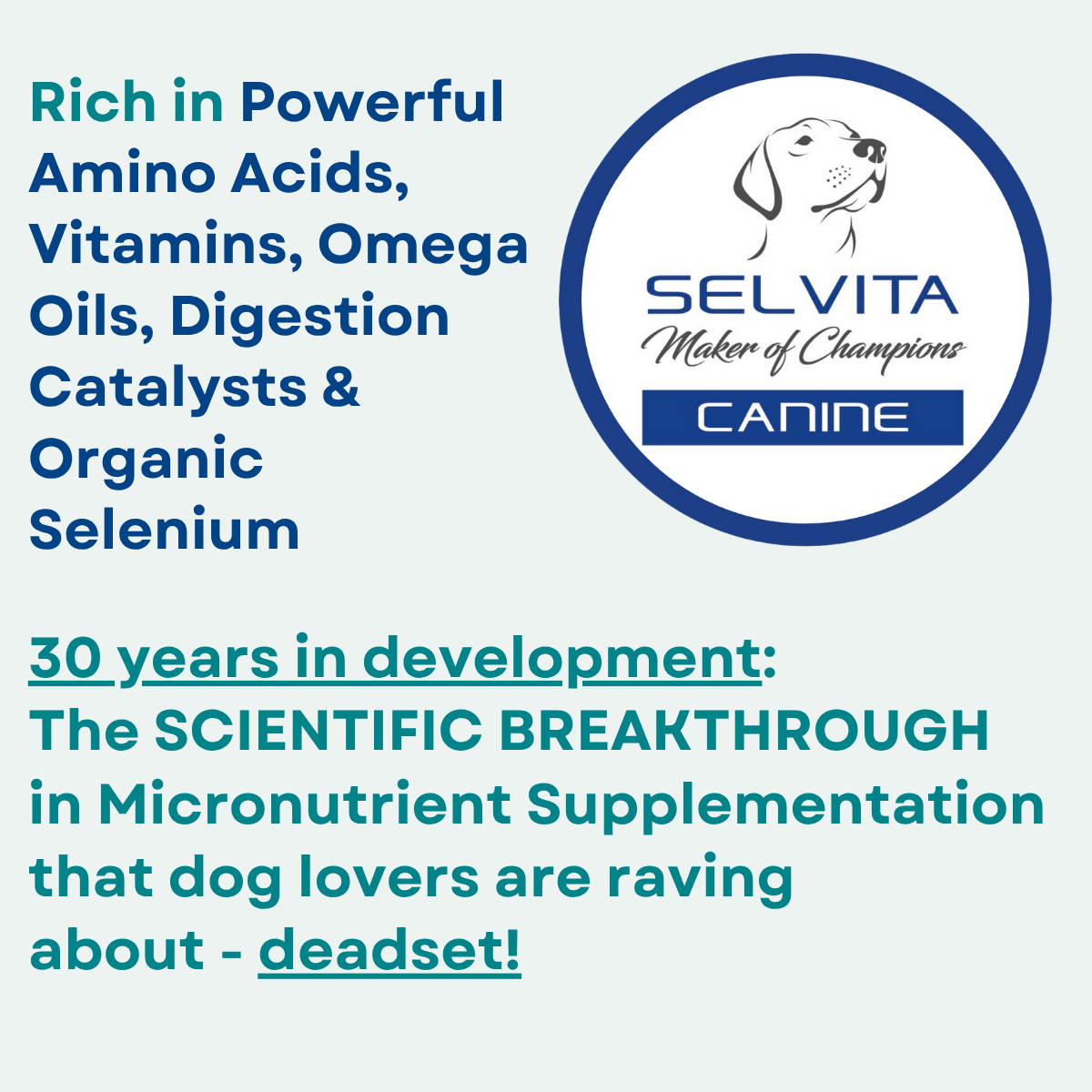 Selvita Canine Information