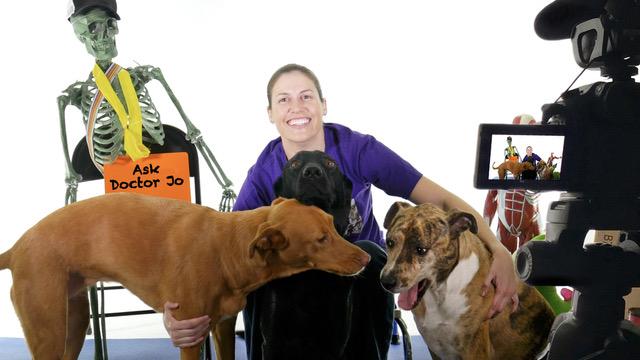 Doctor Jo with; ehr dogs