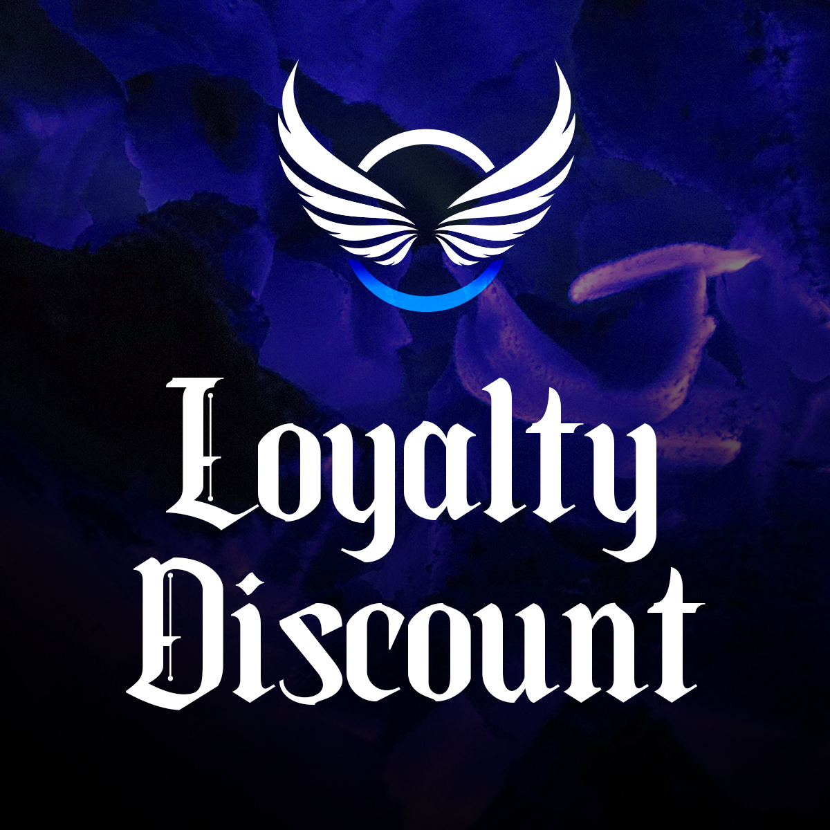 Two Feather Plugs Loyalty Discount