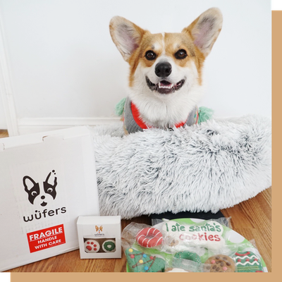 2020 Wüfers Holiday Gift Guide | Christmas Presents for Your Dog
