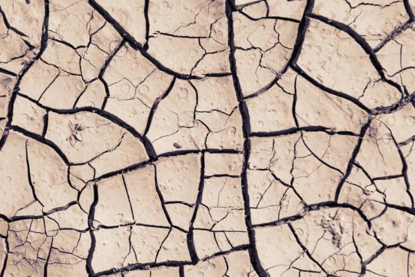 Cracked dry land