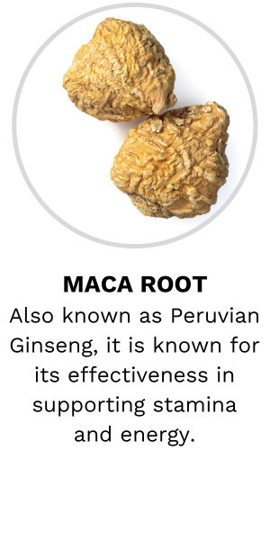 Maca Root