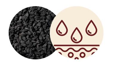 Black Cumin - Even-tones