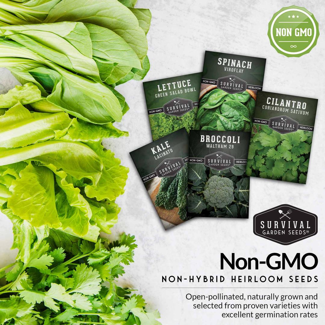 Non-GMO non-hybrid heirloom vegetable garden seeds