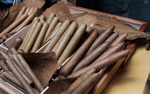 wrapper - outermost layer of a cigar