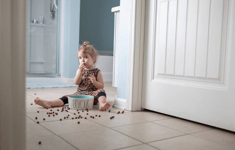 
    How to Prevent Your Little Explorer From Eating Cat Food – Door Buddy
  