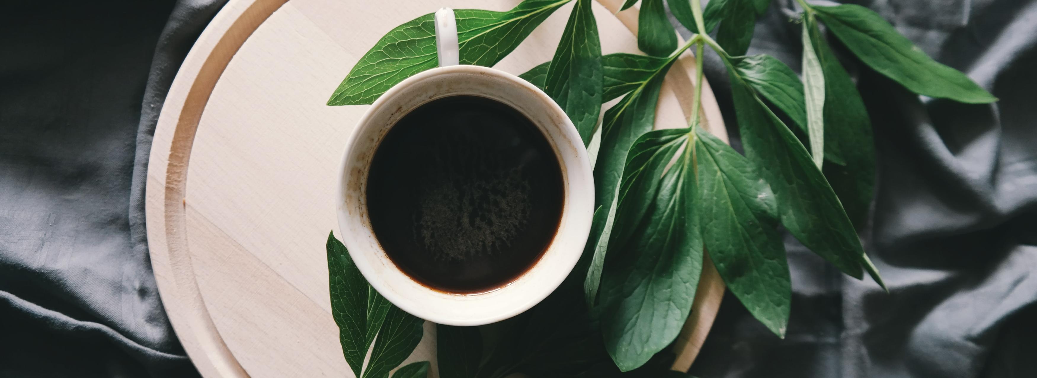 sustainable organic coffee