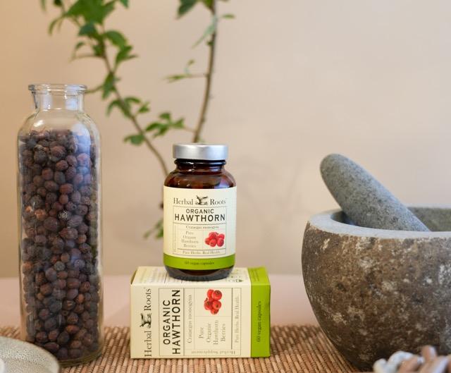Herbal Roots Hawthorn bottle and box between tall glass jar with hawthorn berries in it and a stone mortar and pestle
