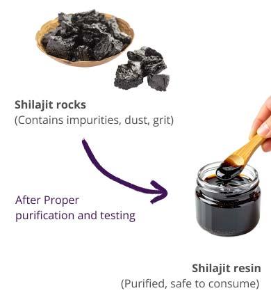 Shilajit rocks (raw, with impurities) transformed to purified Shilajit resin after proper purification and testing