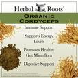Advertisement for Herbal Roots Organic Cordyceps with text about health benefits on a white background. Benefits include Immune support, supports energy levels, promotes healthy gut microflora, digestive support.