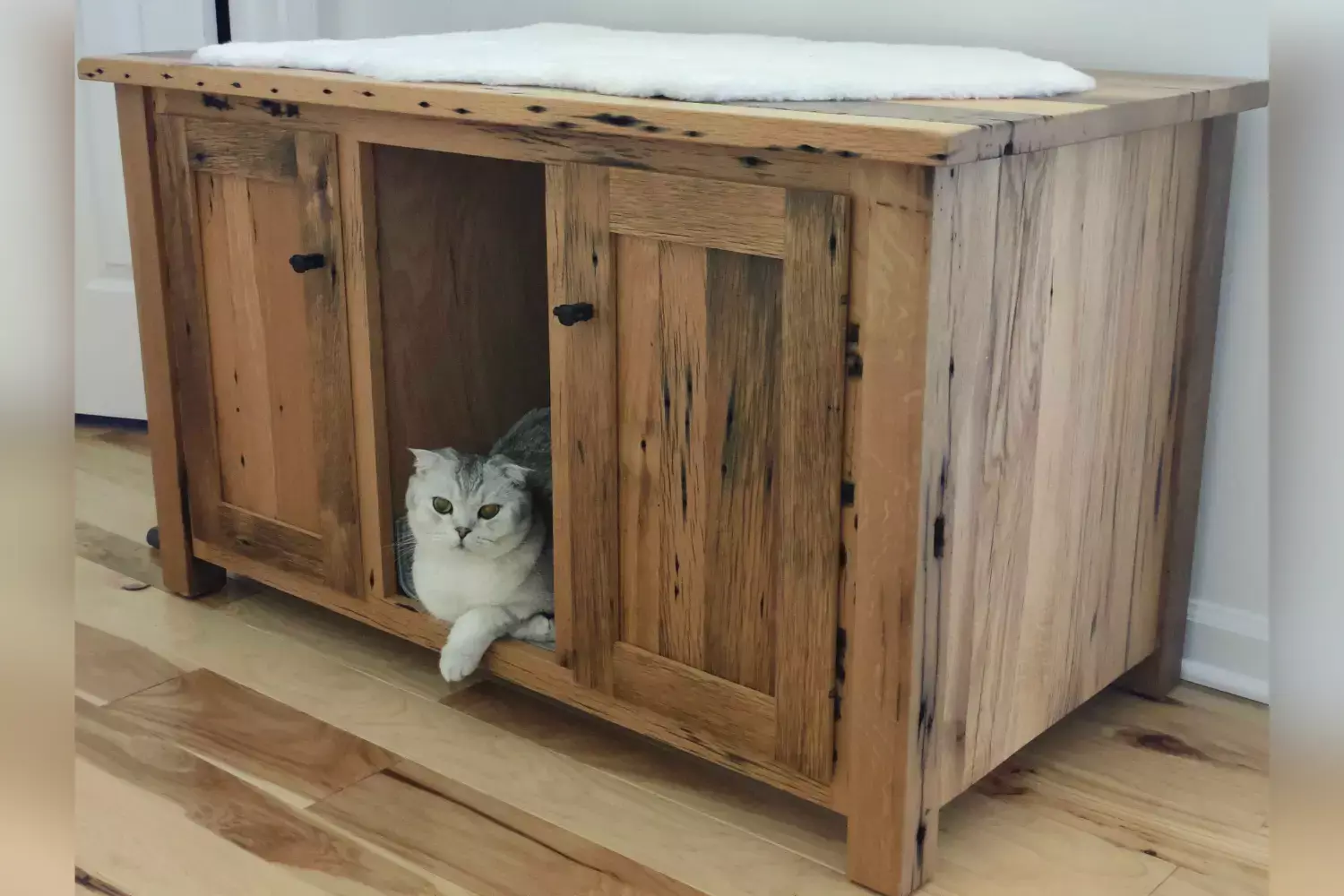 Custom Kitty Litter Cabinet