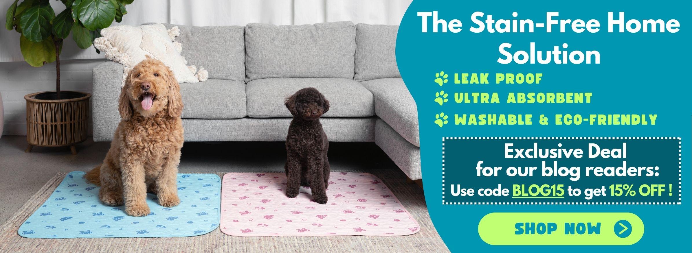 A banner showing two dogs sitting on a blue and pink pee pad