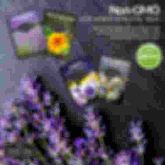 Non-GMO, non-hybrid heirloom flower seeds