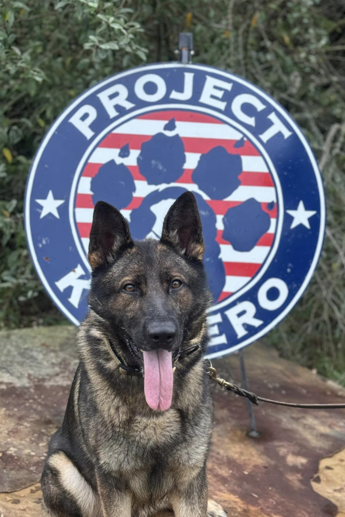 k9 bak