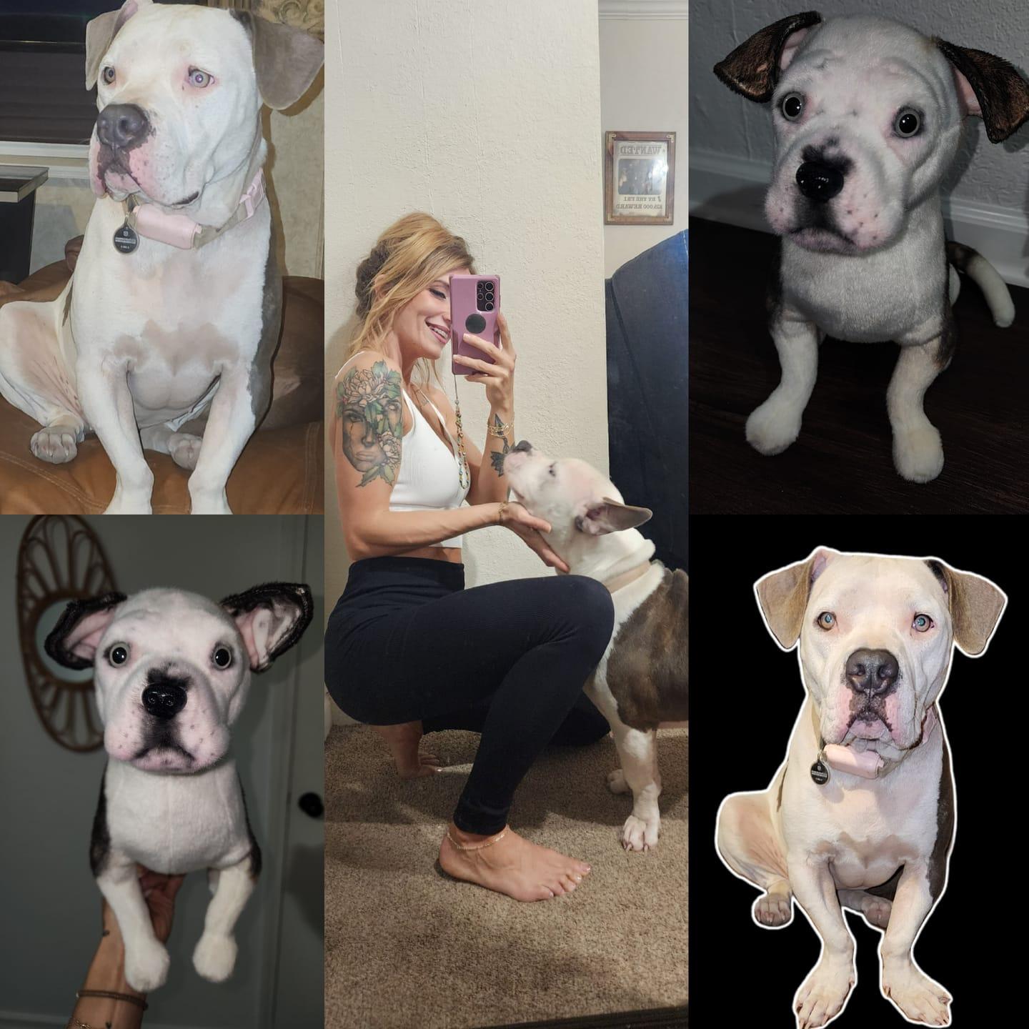 Custom plush of your pet for memorial keepsake