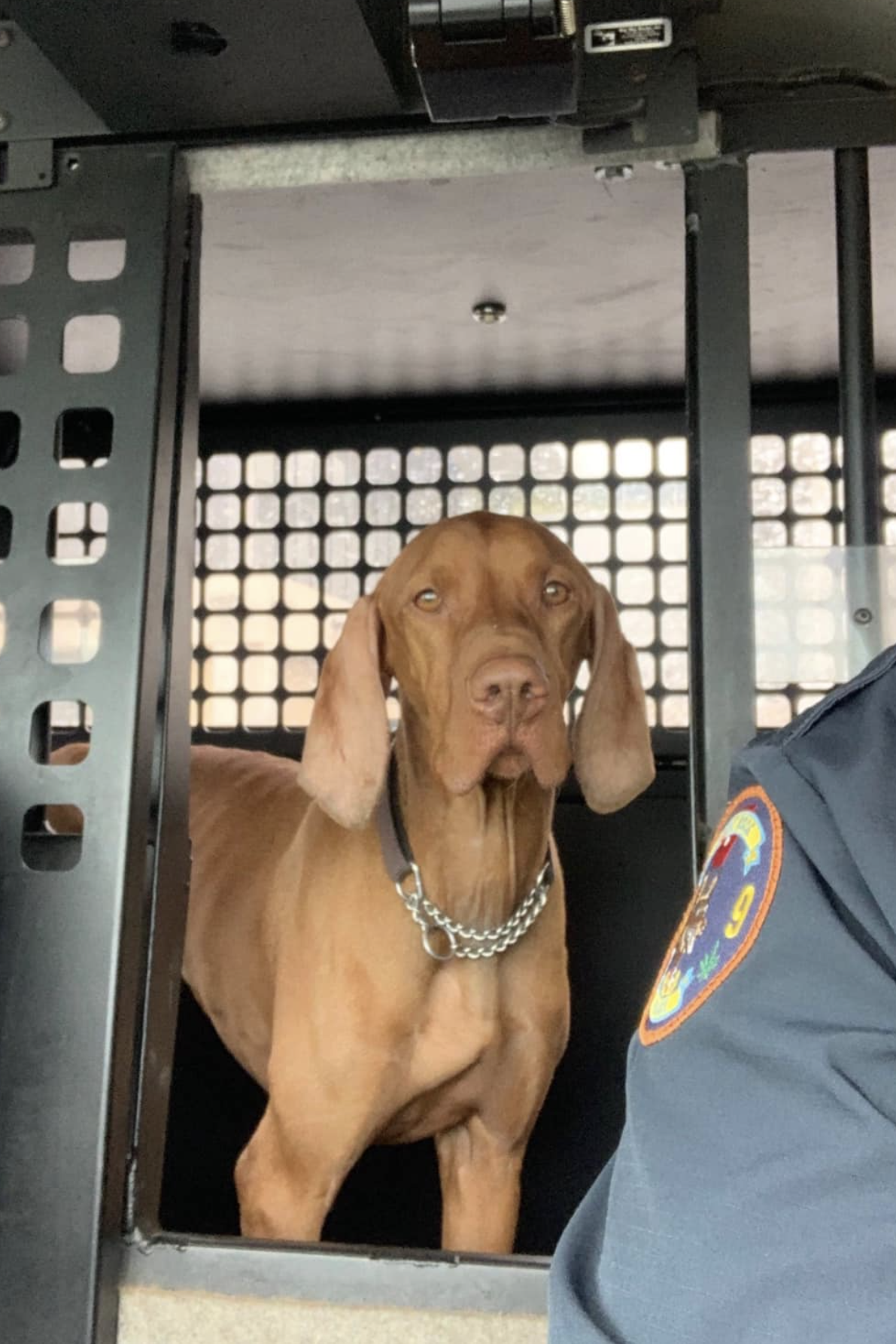k9 flum in his k9 vehicle