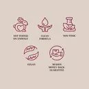 9. The image shows a set of icons representing various attributes of a product