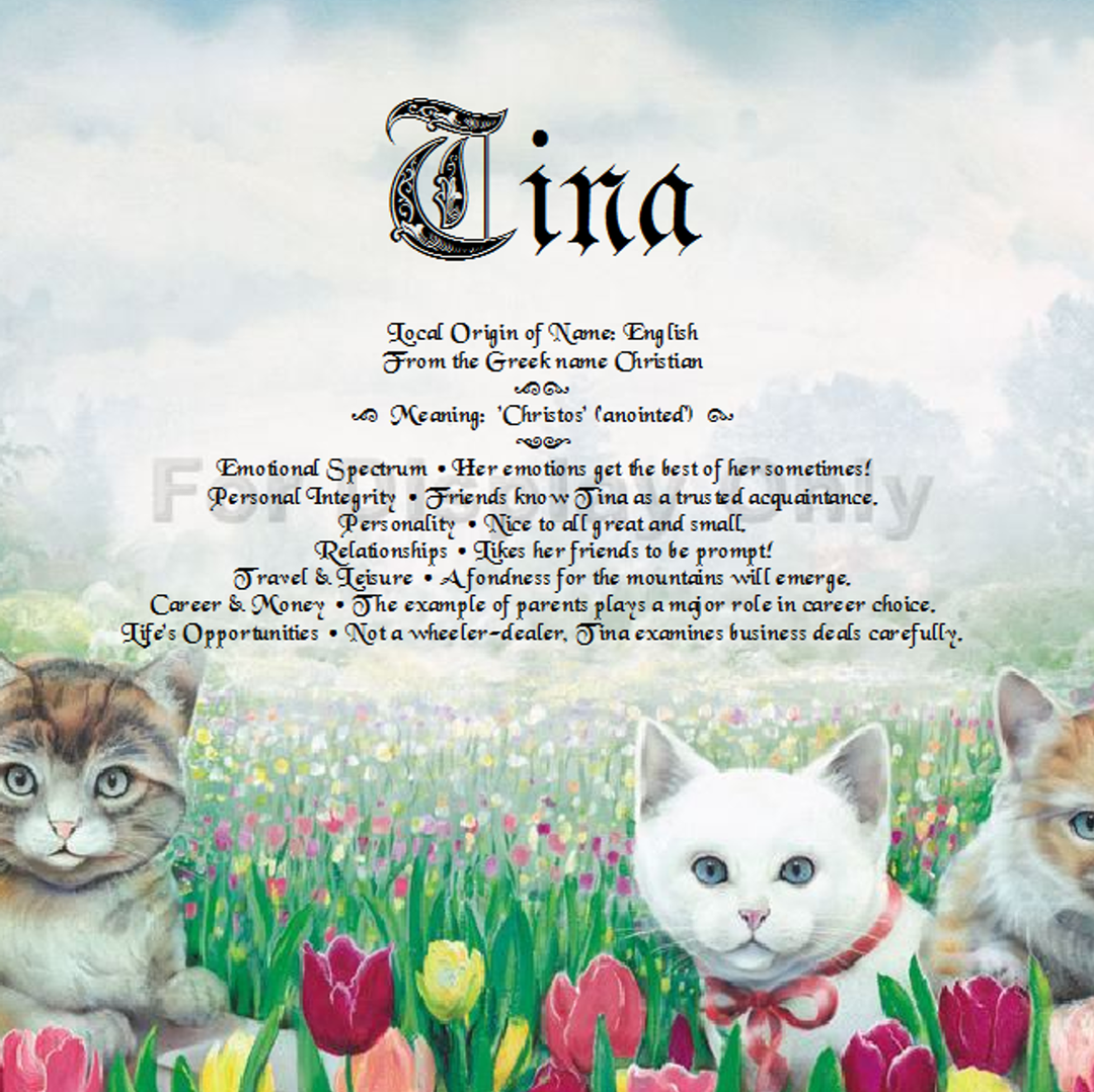 Cat Gifts Personalized