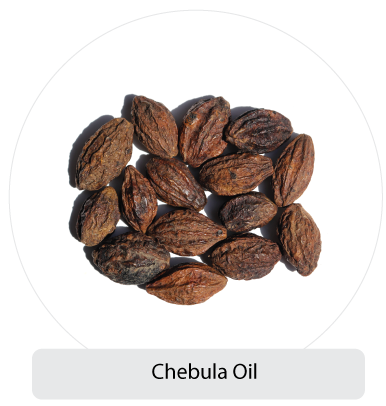 icon for chebula oil