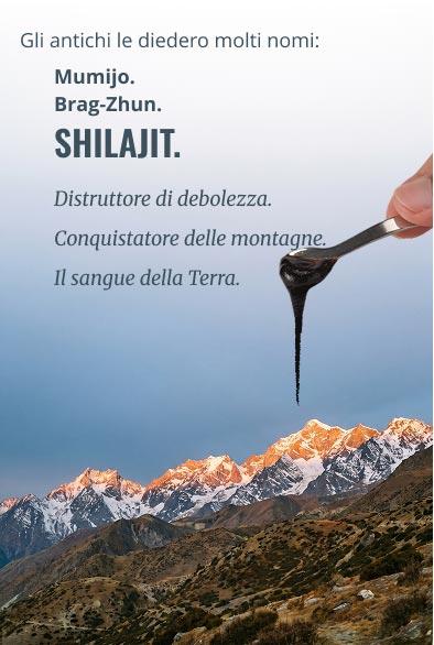 Himalayan shilajit resin