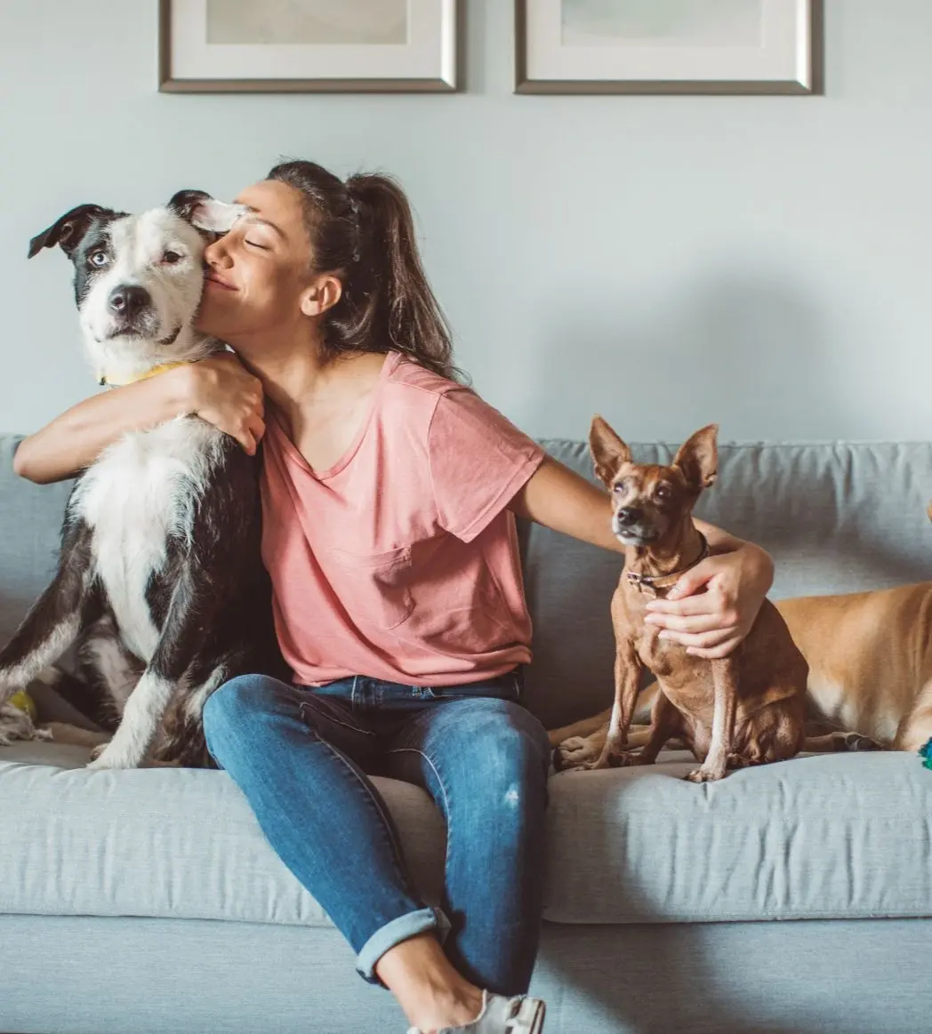 two dogs on a couch with a lady