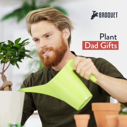 man watering an indoor plant, broquet logo, text reads: Plant Dad Gifts