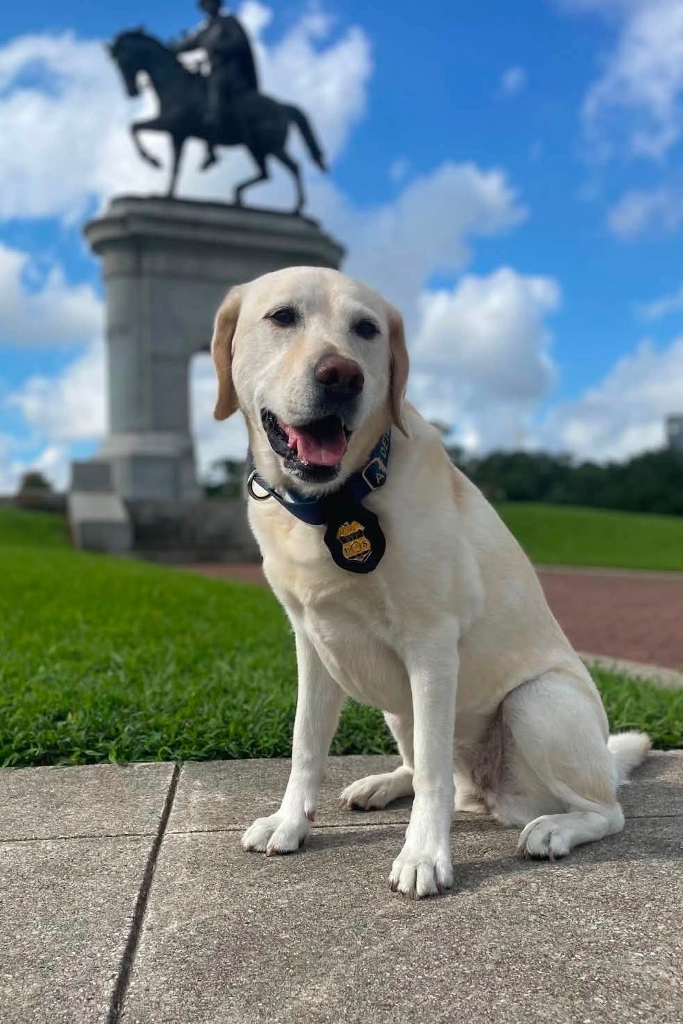 k9 lady sitting in front of a monument with her badge