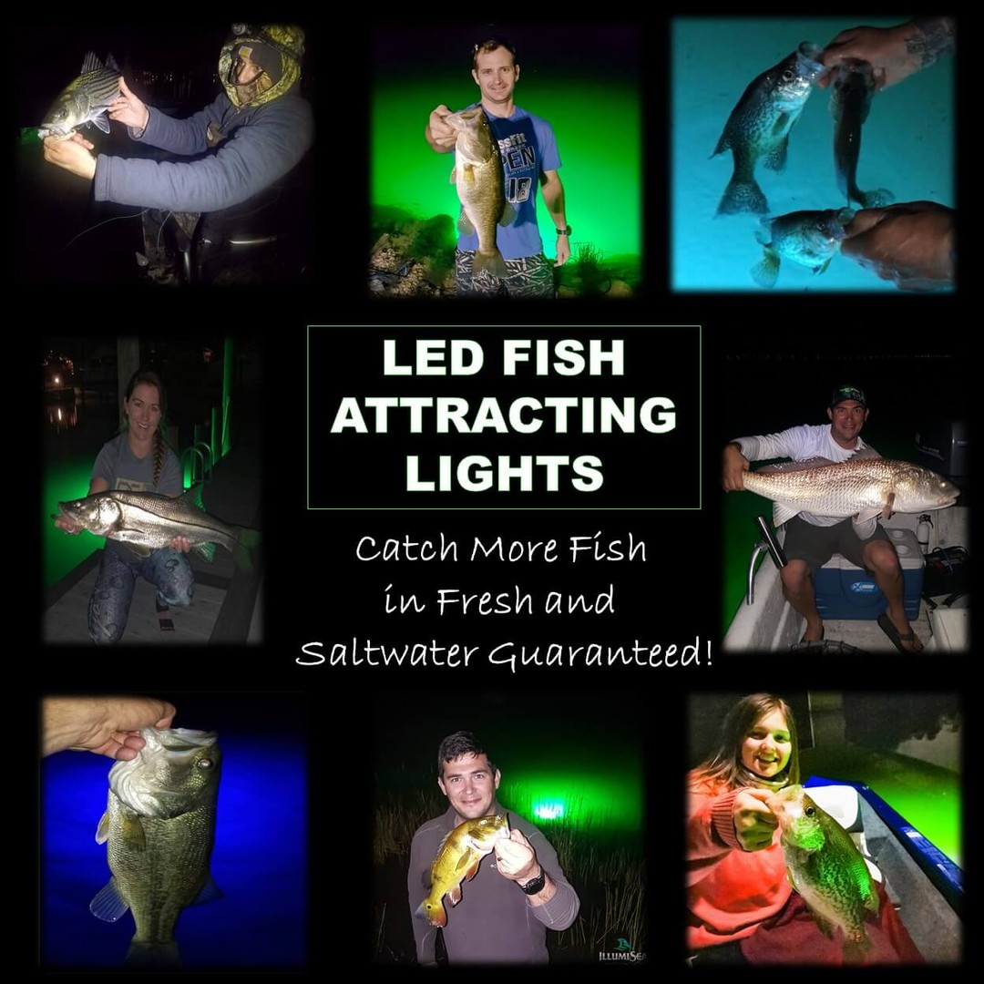 12v 10W Green Fishing Light Underwater LED Glow Night Lamp For Carp Fish  Lunar