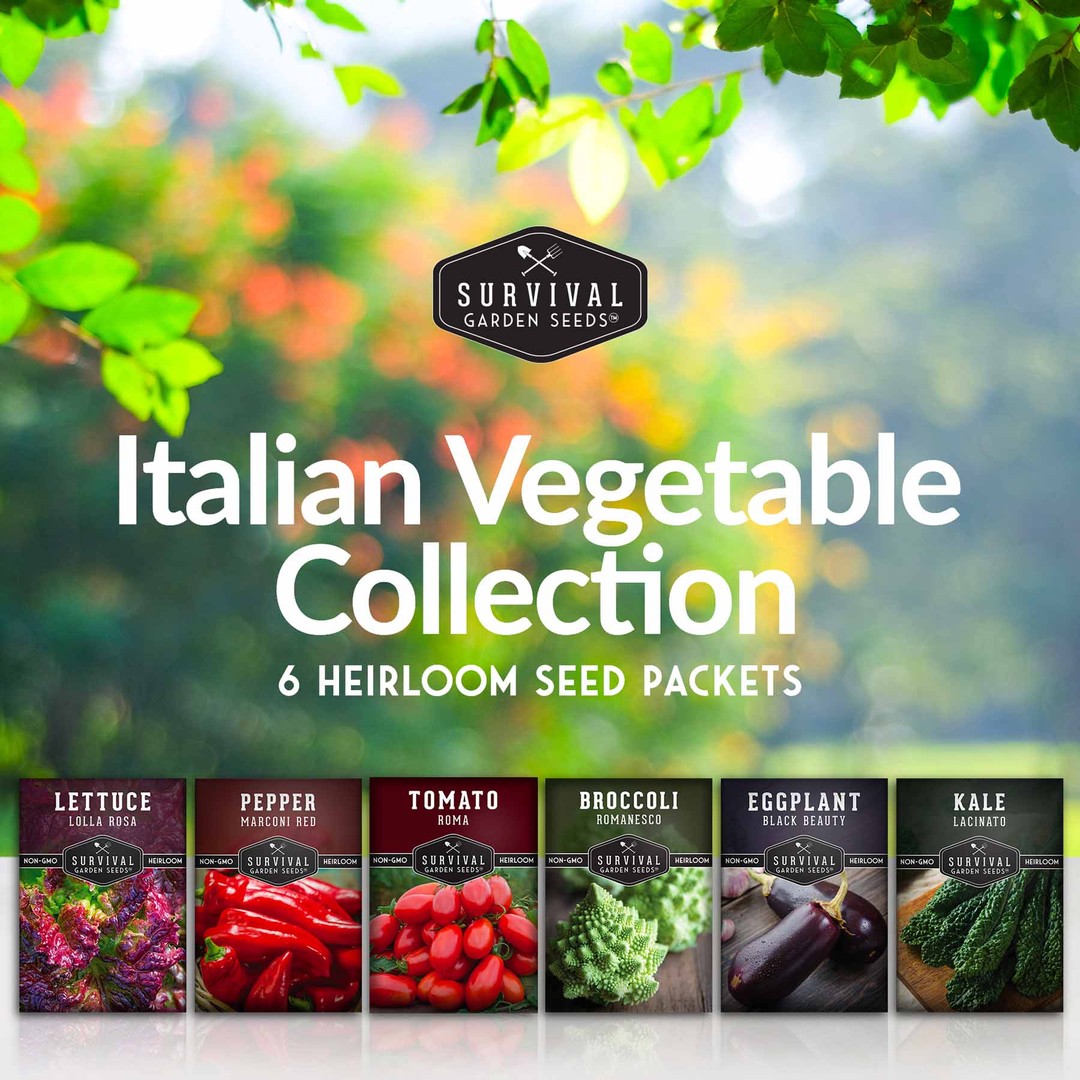 Italian vegetable seed collection - 6 heirloom seed packets