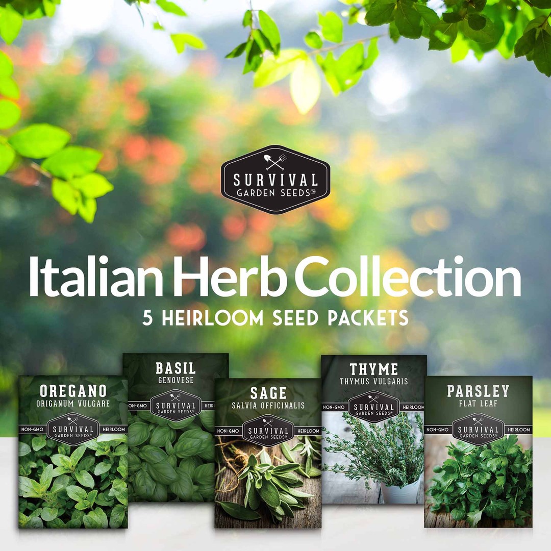 Italian Herb Seed Collection