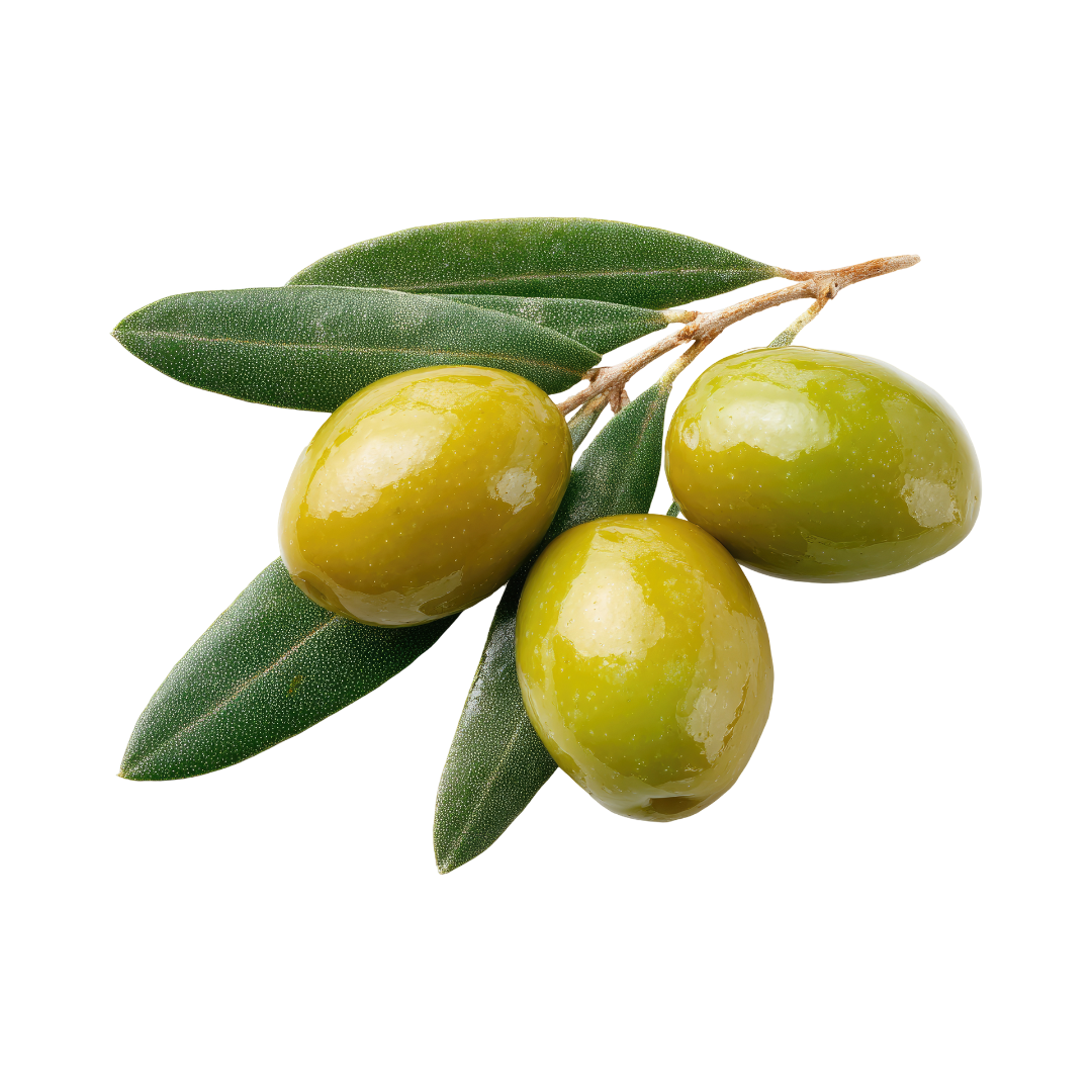 Olive oil