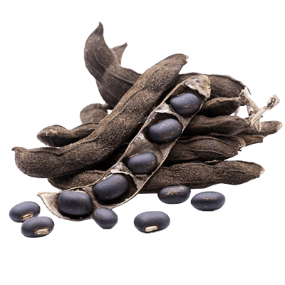 velevet beans