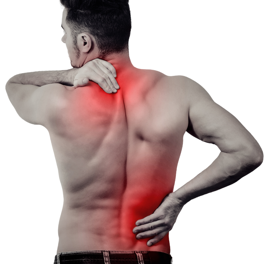 Man's neck and lower back highlighted red to indicate pain or soreness
