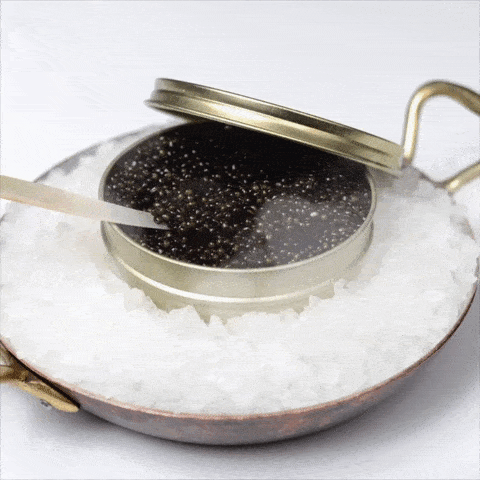 Fresh Sterling Caviar with a pearl spoon in an ice bowl