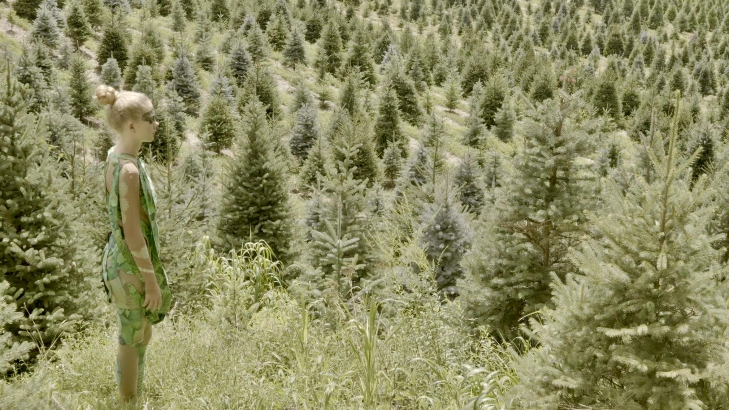 Les Potions D'Entéléchie by QUARTANA