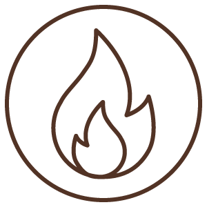 A stylized flame.