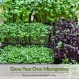 grow your own microgreens in just days