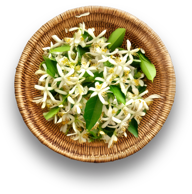 Neroli