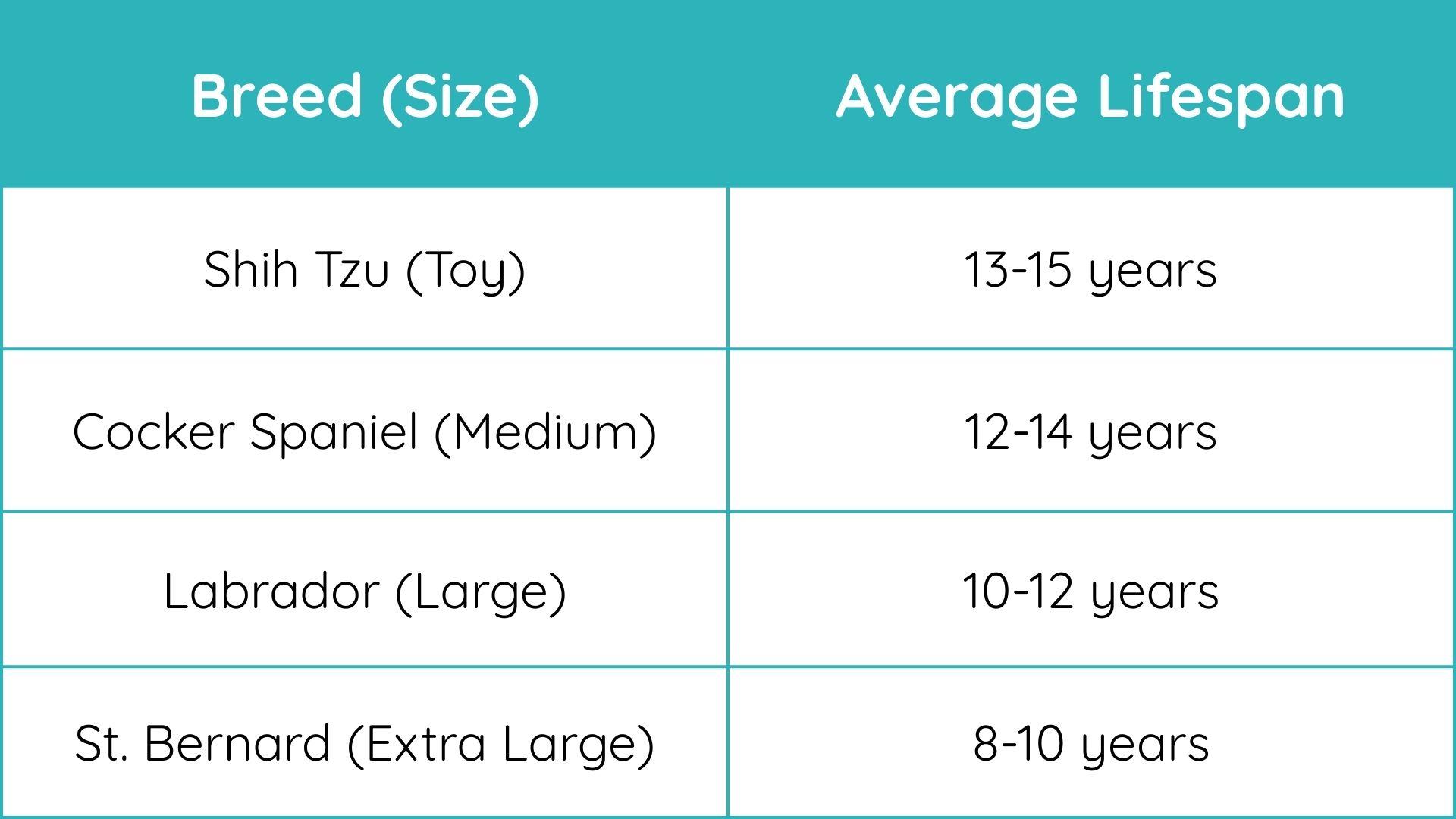 table of average life expectancy of popular dog breeds