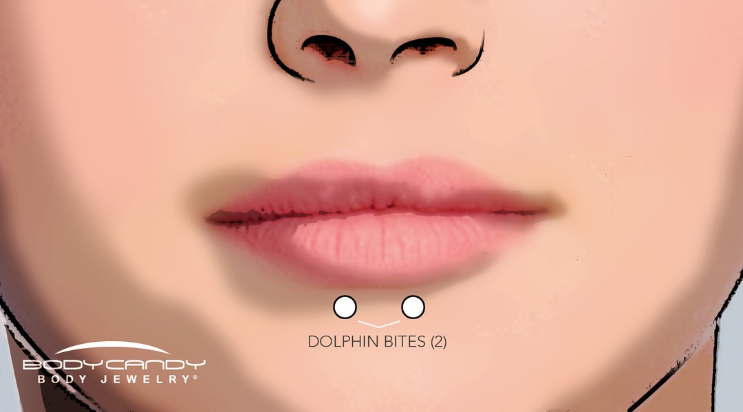 dolphin bites lip piercing