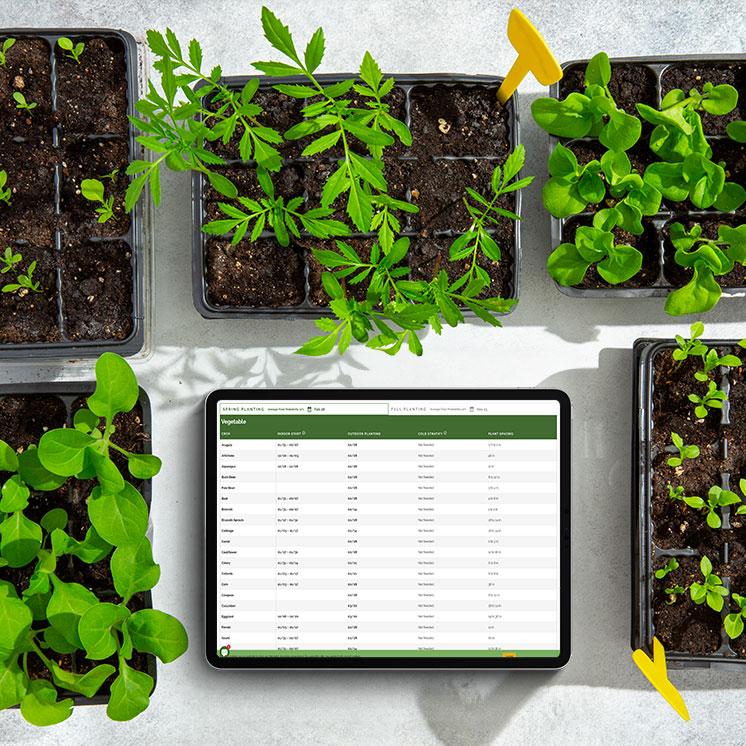 Planting Calendar By Zip Code