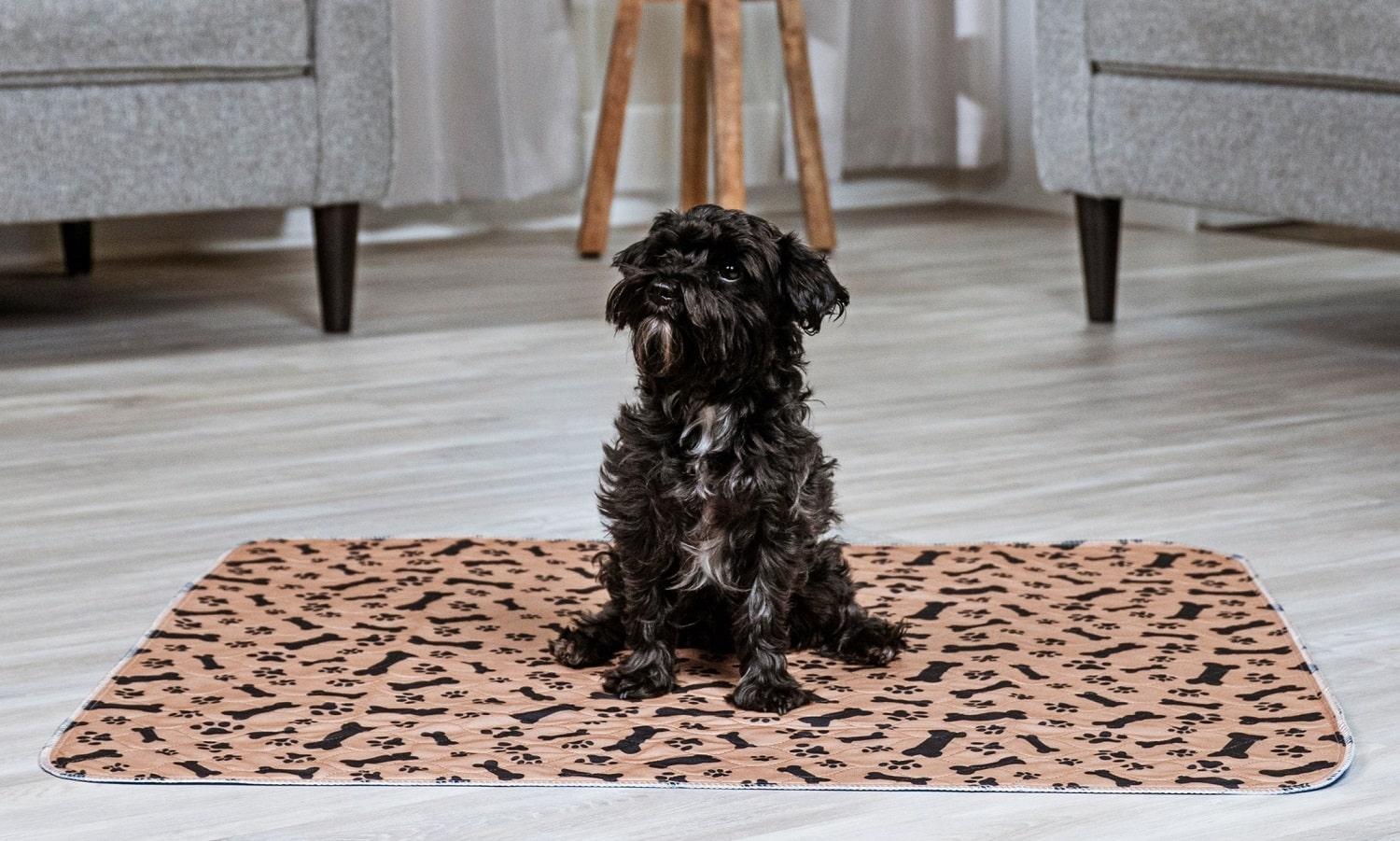 Potty Buddy The Premium Reusable Potty Pad