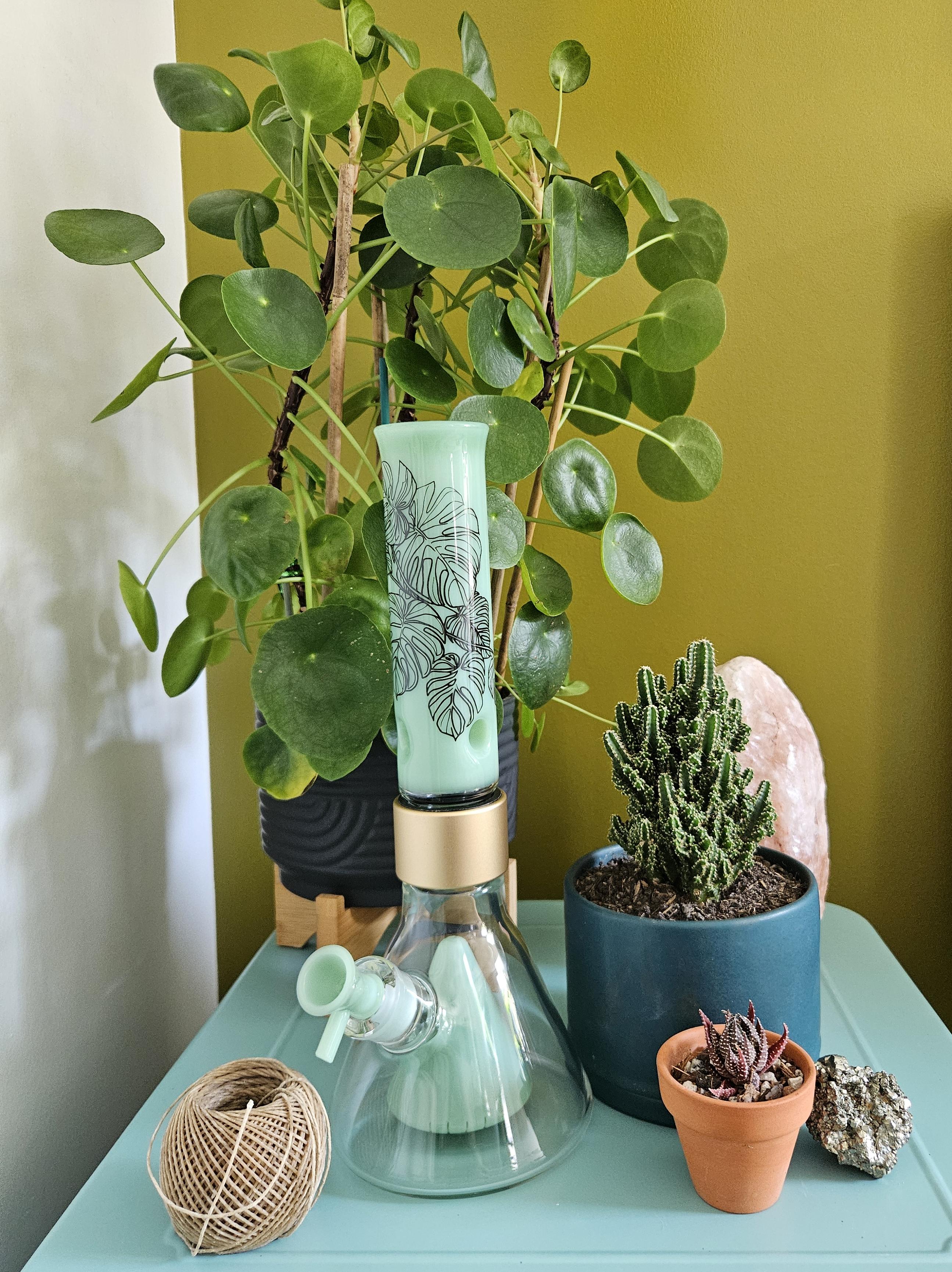 A Prism Single Stack Percolated Beaker Bong with a mint green Collins pyramid percolator and Monstera decal design on its standard mint green mouthpiece. The bong is artfully placed amidst a cascade of houseplants, cacti, and a Himalayan salt lamp, creating a tranquil biophilic smoking aesthetic.