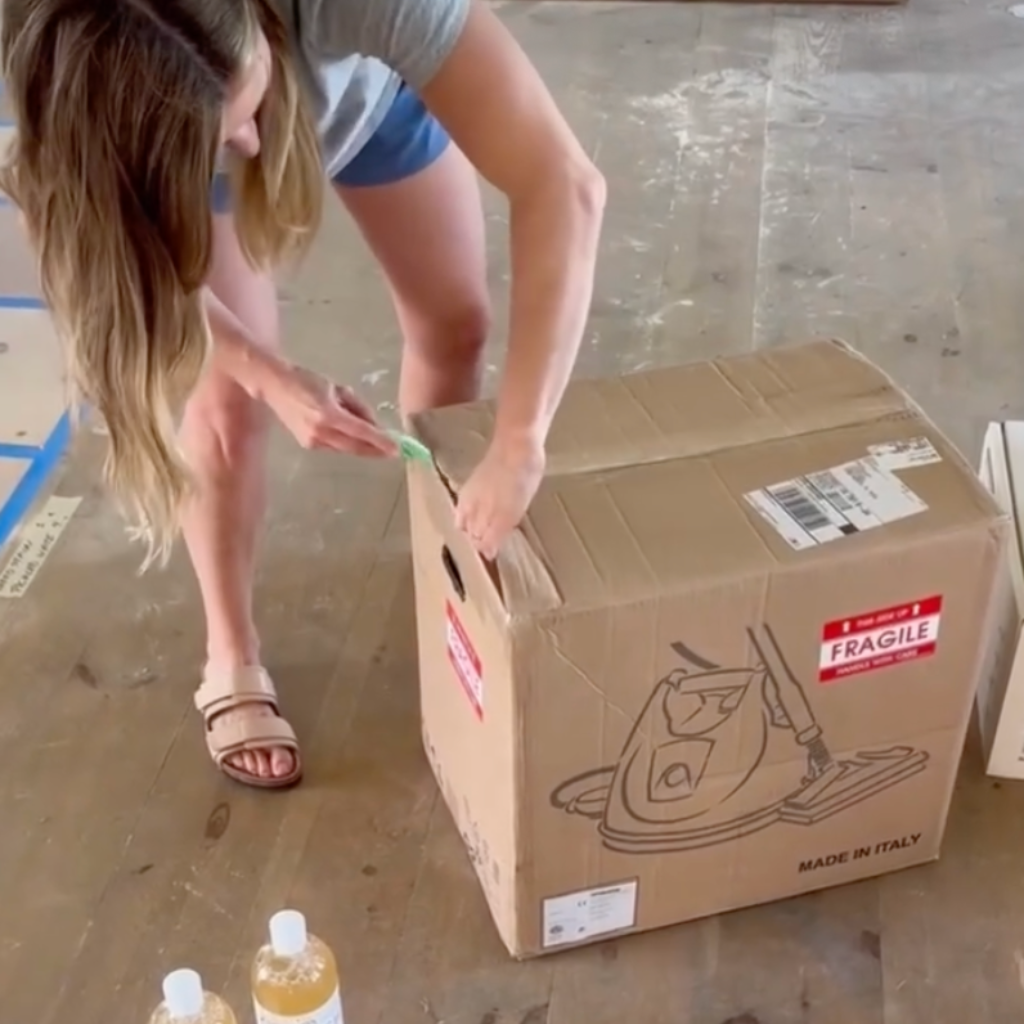 ladybug steam cleaning adding water