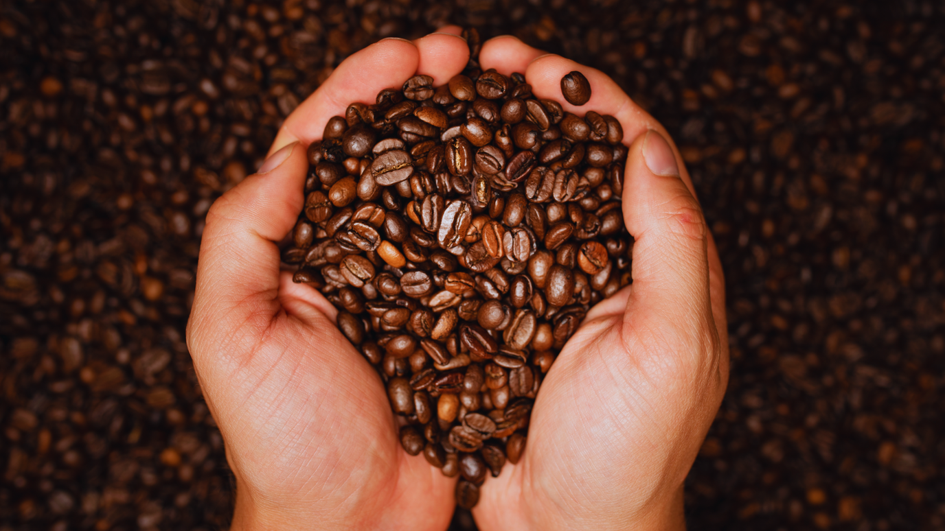 Why Do My Coffee Beans Look Wet & Oily?