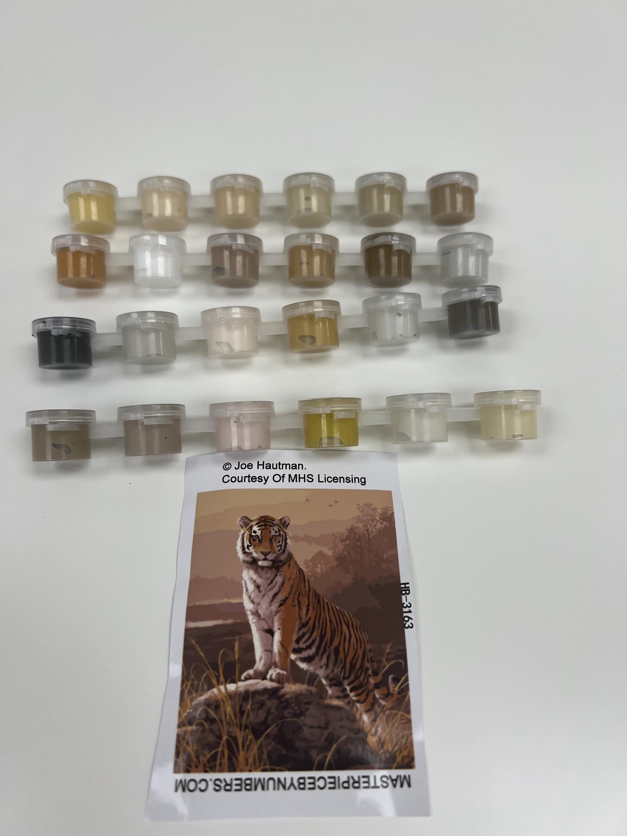 Why do paint by numbers colors sometimes look different in the paint p